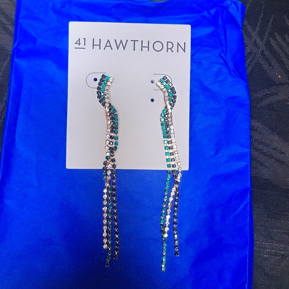 Nwot 41 Hawthorn Earrings